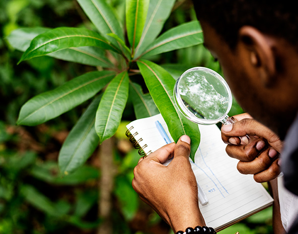 Pós-Graduação em Ciências Ambientais e Análise Ambiental